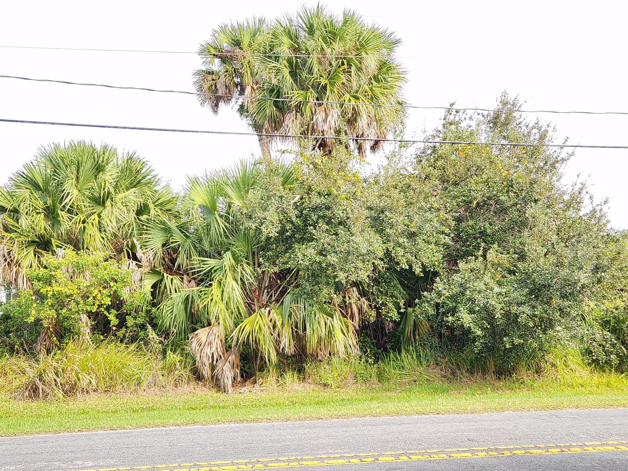Port Saint Lucie Section - Land