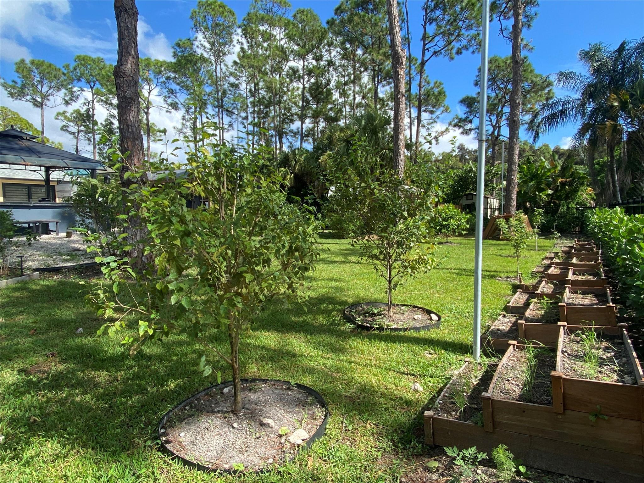 ACREAGE - Residential