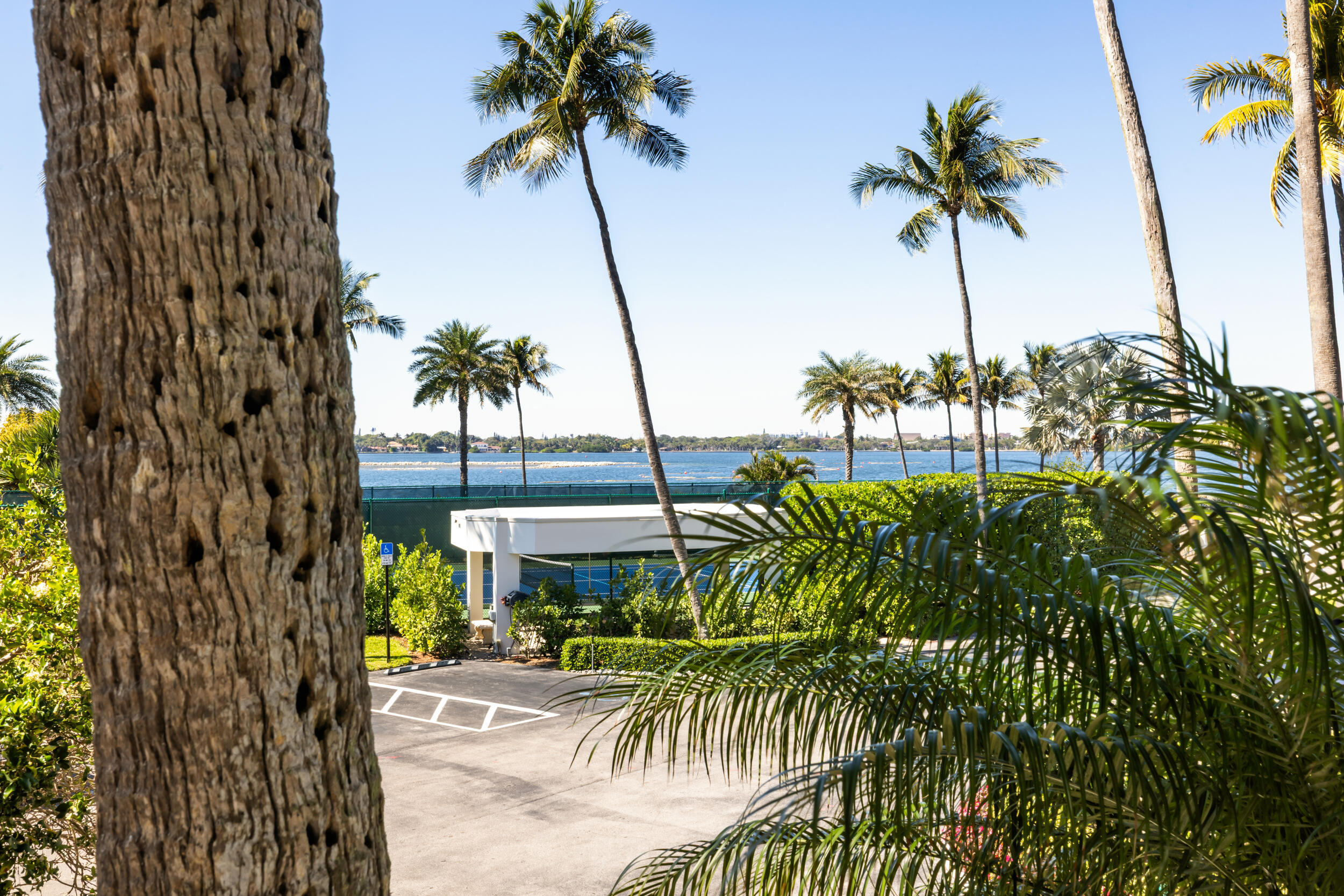 CARLTON PLACE CONDO - Residential