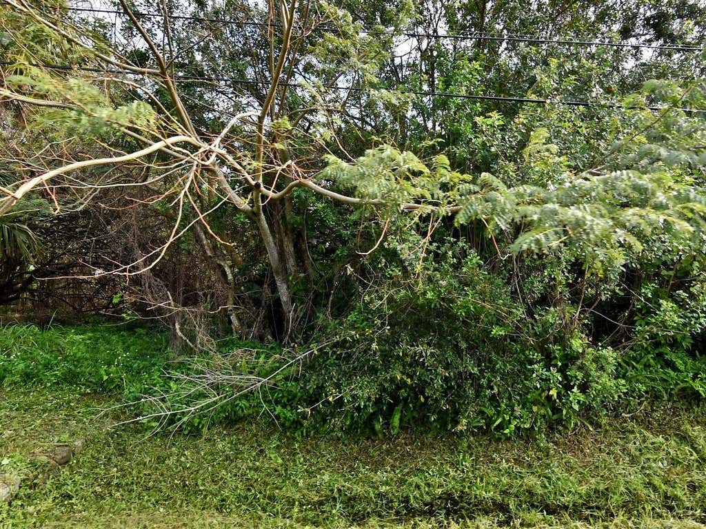 Photo of 2516 Rolyat Street, Fort Pierce, FL 34947 (MLS # F10552404)