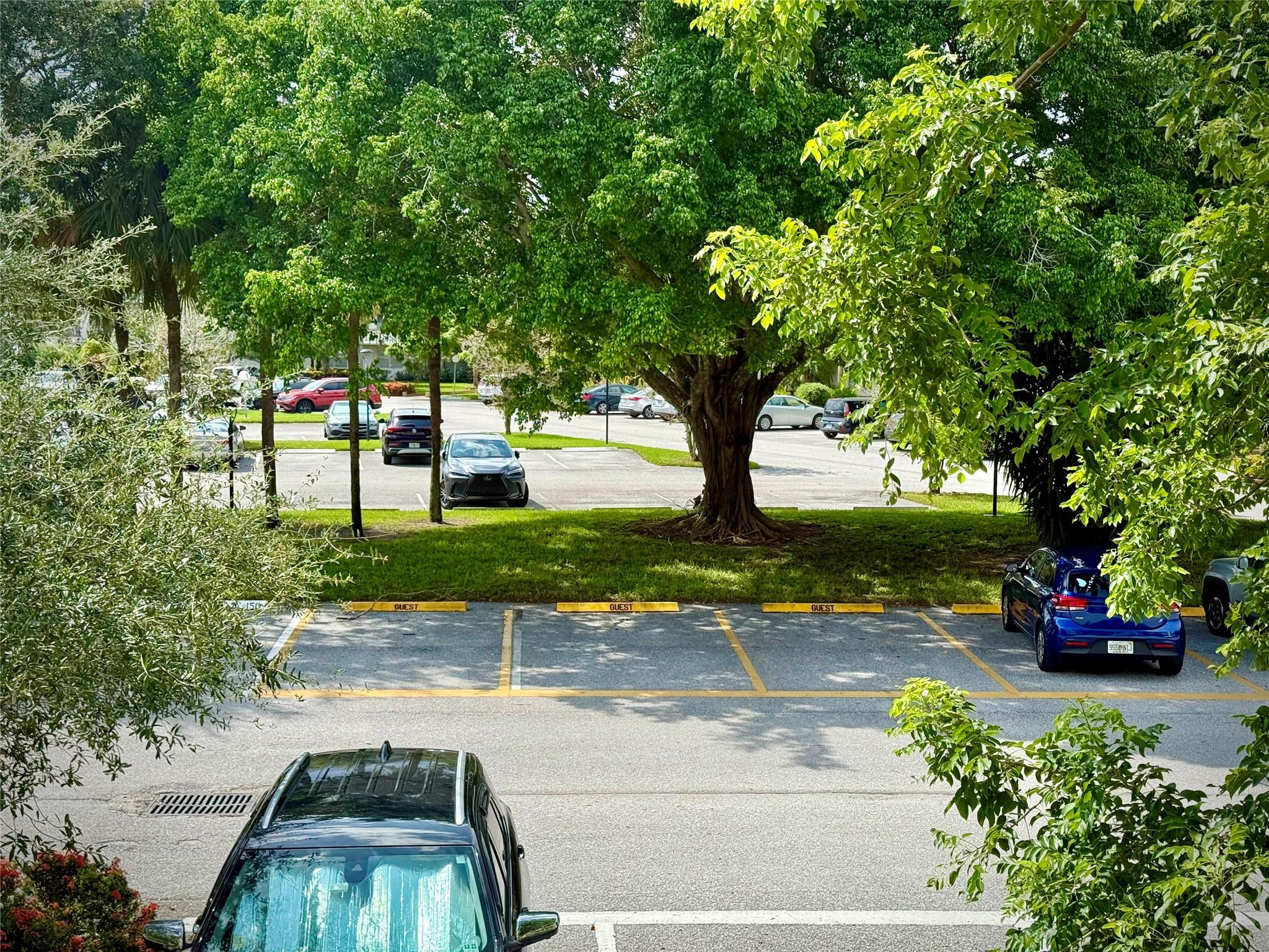 WYNMOOR - Residential