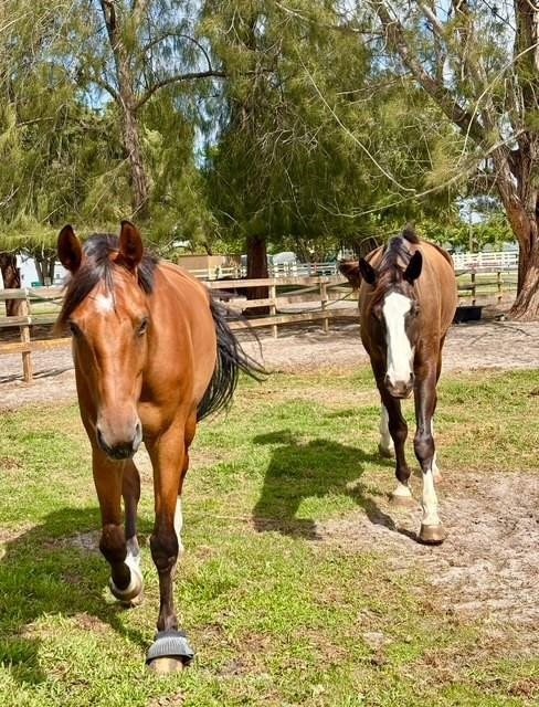 Fla Fruit Lands Co Sub 1 - Residential