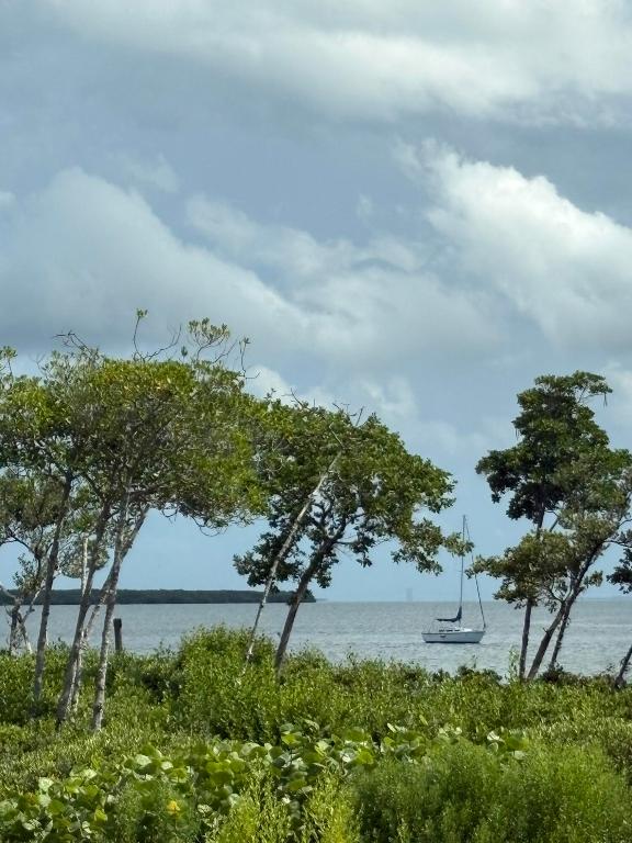 HARBOUR ISLE AT HUTCHINSON ISLAND WEST, A CONDOMIN - Residential