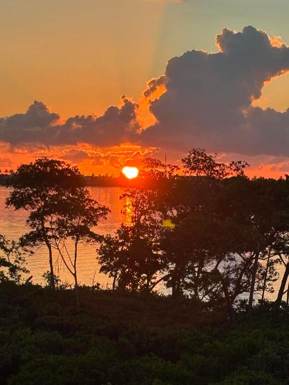 HARBOUR ISLE AT HUTCHINSON ISLAND WEST, A CONDOMIN - Residential
