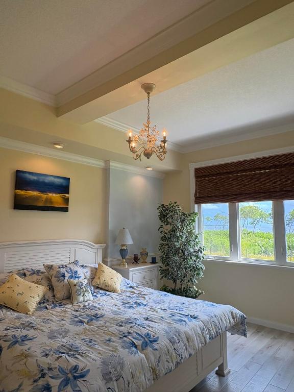 HARBOUR ISLE AT HUTCHINSON ISLAND WEST, A CONDOMIN - Residential