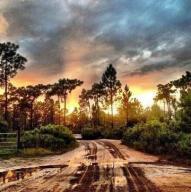 RIVER RANCH ACRES - Land