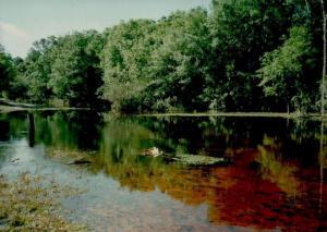 RIVER RANCH ACRES - Land