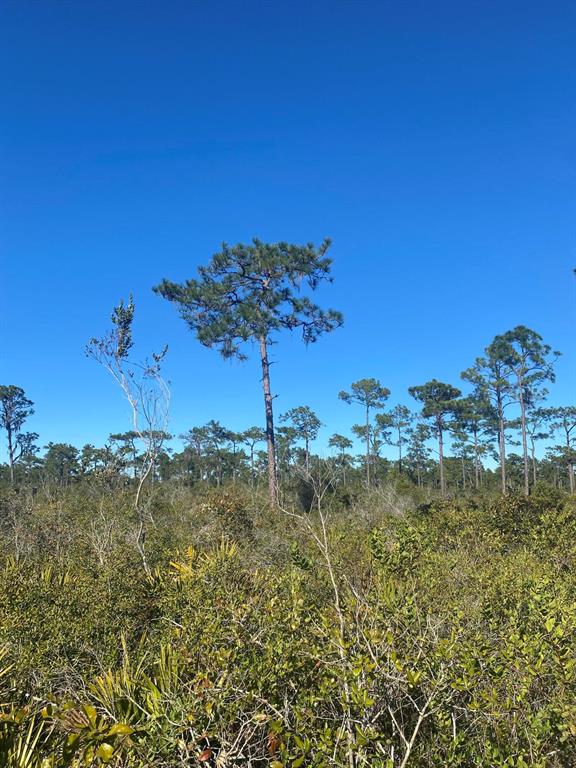 RIVER RANCH ACRES - Land