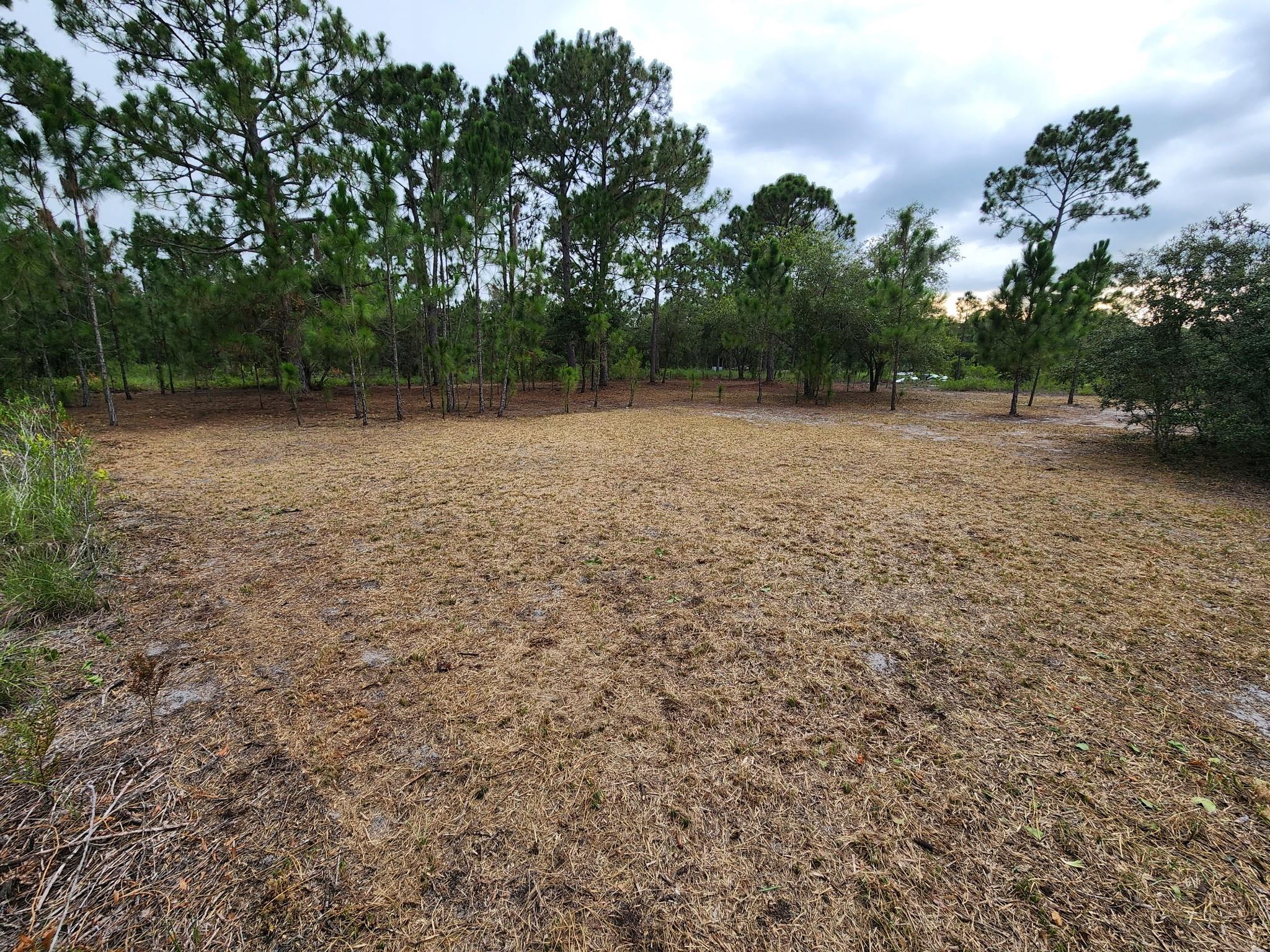 APL RED HILL FARMS UNIT J - Land