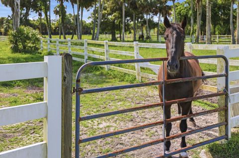 Tiny photo for 14095 BIDDEX Road, Loxahatchee Groves, FL 33470 (MLS # B26054226)