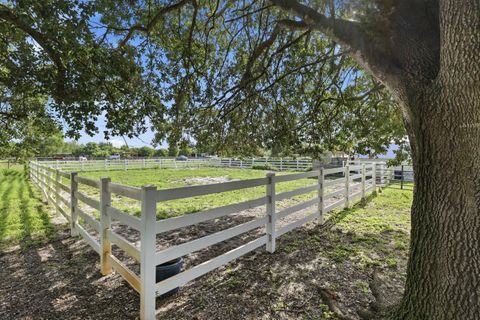 Tiny photo for 14095 BIDDEX Road, Loxahatchee Groves, FL 33470 (MLS # B26054226)
