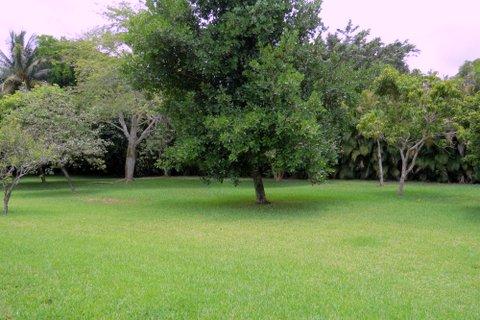 PADDOCK PARK 2 OF WELLINGTON - Residential