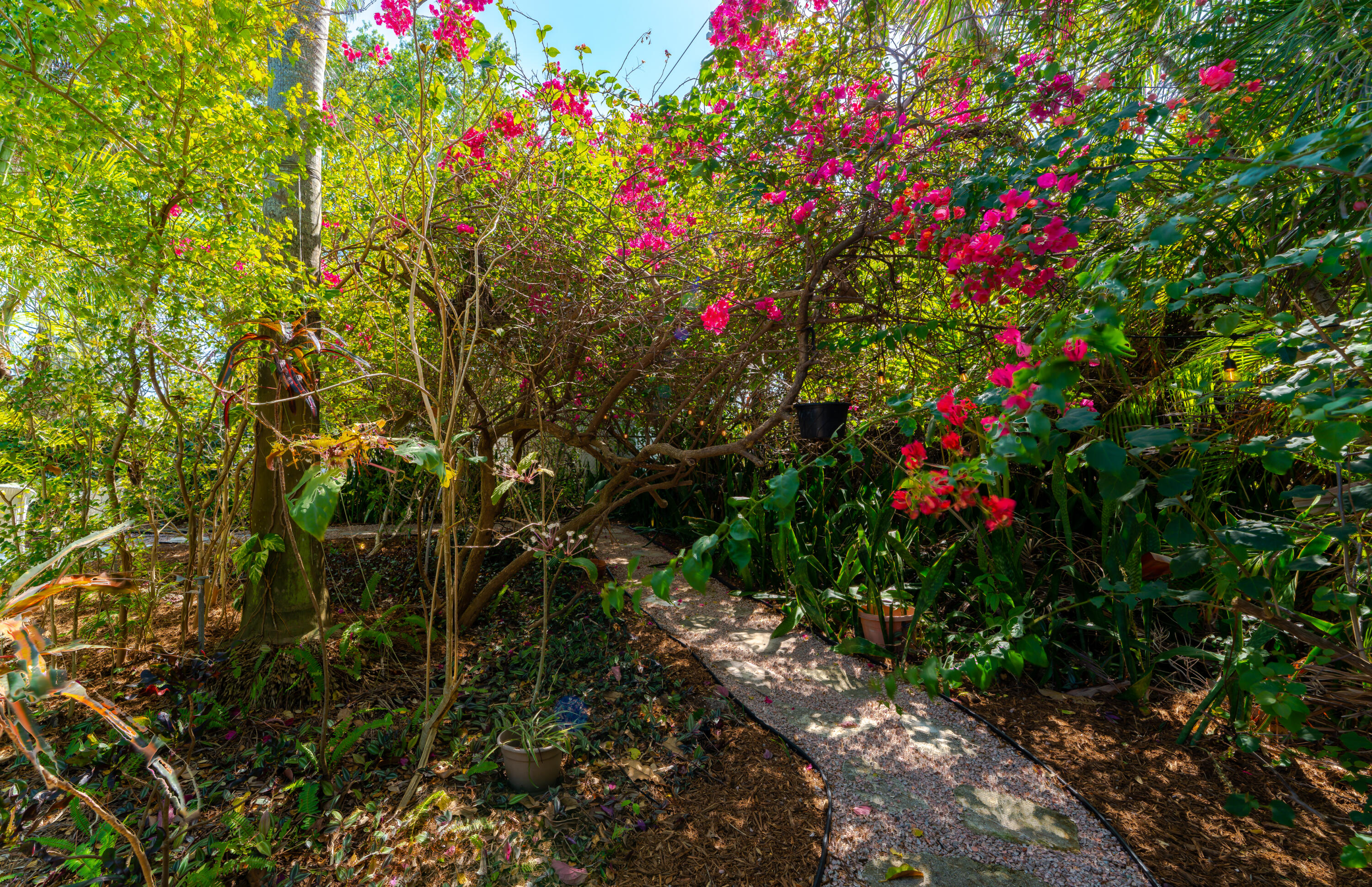 PINEWOOD HEIGHTS - Residential