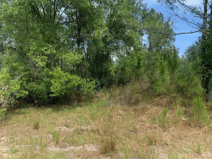 Own land in Rancho Bonito. Camp, hunt and ride.Owner financing available with only $1500 down