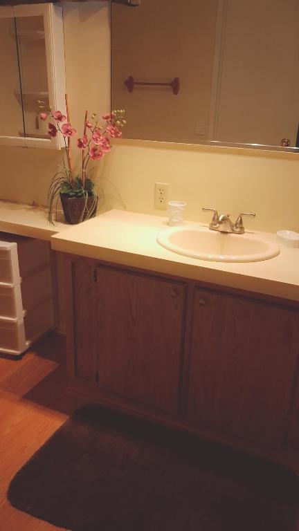 Seminole Cove - Residential