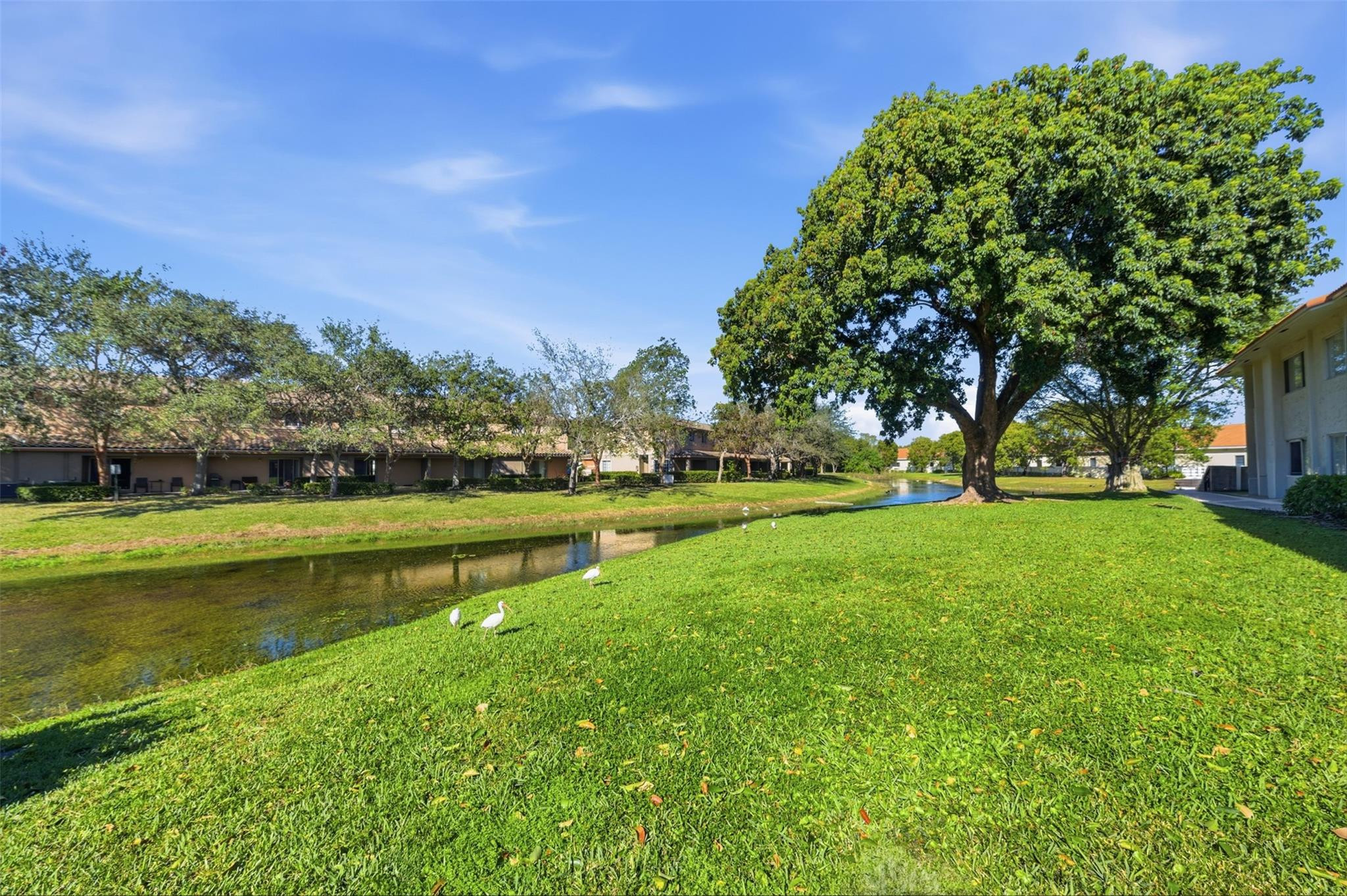 VICTORIA SQUARE - Residential
