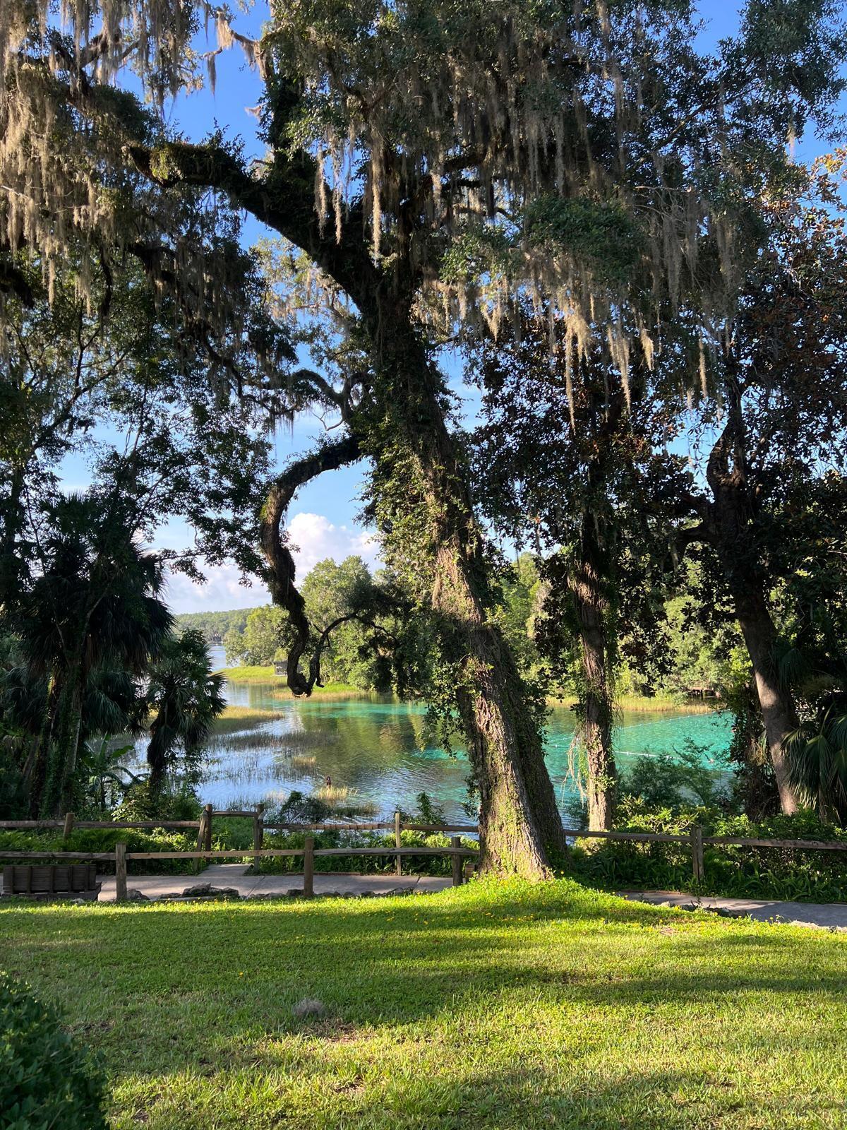 Rainbow Lake Estates - Land