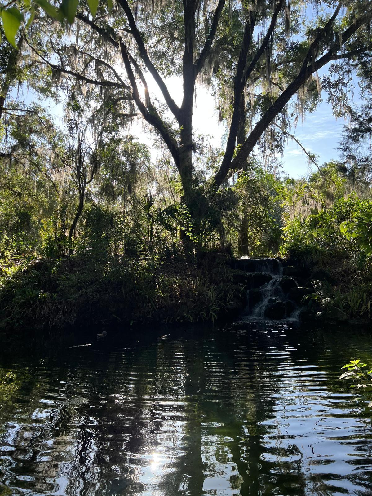 Rainbow Lake Estates - Land