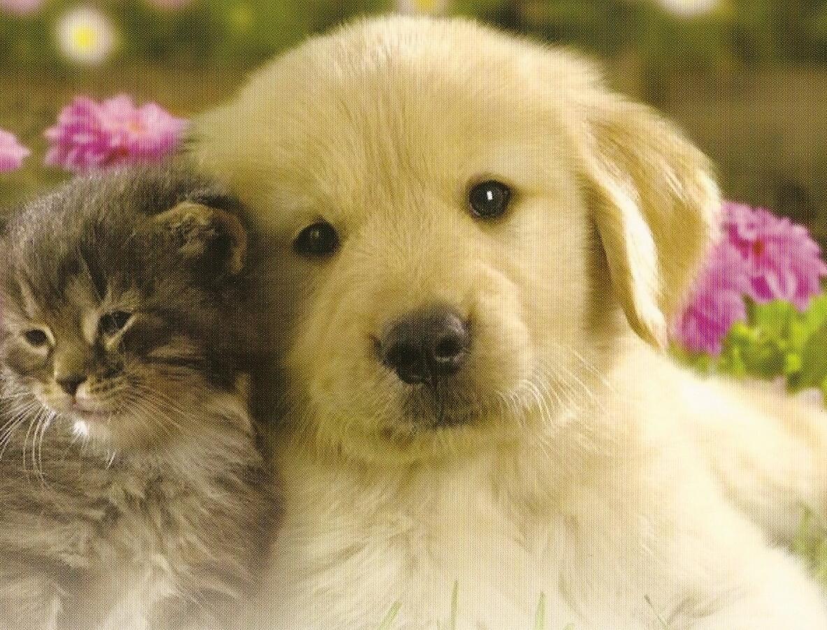 Cascade Lakes - Residential