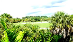 VILLAS AT EMERALD DUNES CONDO - Residential