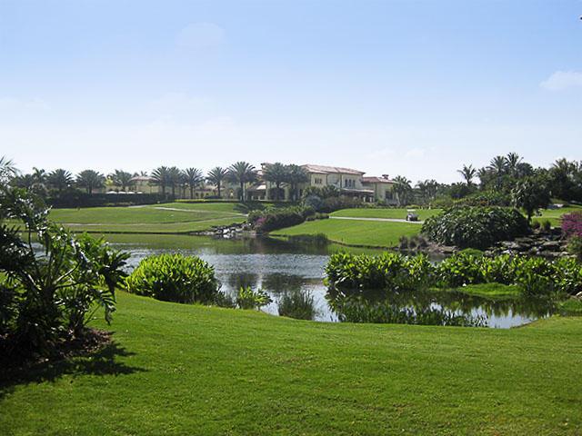 Old Palm - Residential