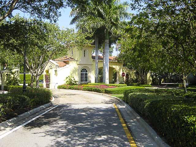 Old Palm - Residential