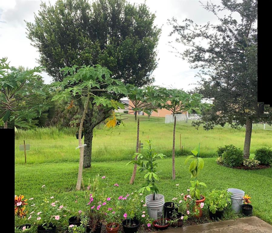 FOURTH  REPLAT OF PORTOFINO ISLES - Residential