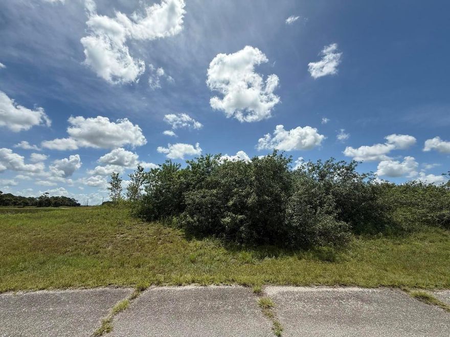 Build your dream home on this spacious lot located in the desirable Port LaBelle community. Nestled in a growing residential area, this property offers paved road access, nearby utilities, and a peaceful neighborhood setting. Enjoy close proximity to schools, shopping, dining, and the Caloosahatchee River, while still maintaining the privacy and charm of a small-town feel. Whether you're planning to build now or invest for the future, this lot presents a great opportunity at an affordable price.