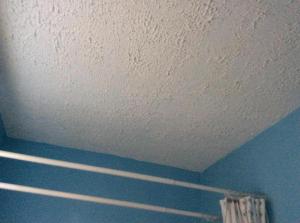 LINCOLN GARDEN CO-OP - Residential Lease