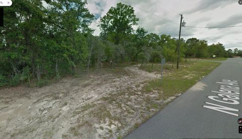 8150 N Galena Avenue Citrus Springs FL 34434