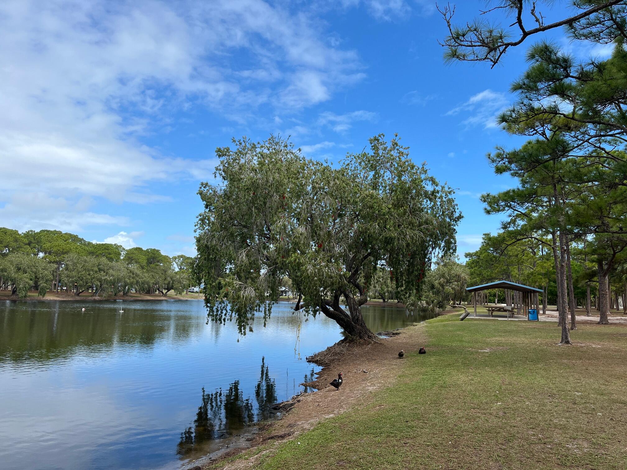 INDIAN RIVER ESTATES UNIT 8 - Residential