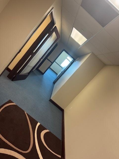 - Commercial Lease