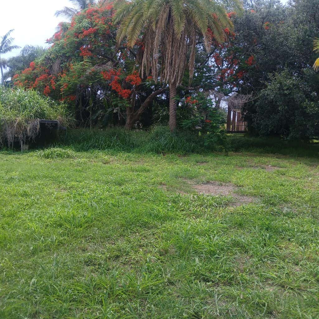 Photo of 37121 E Main Street, Canal Point, FL 33438 (MLS # B26040649)