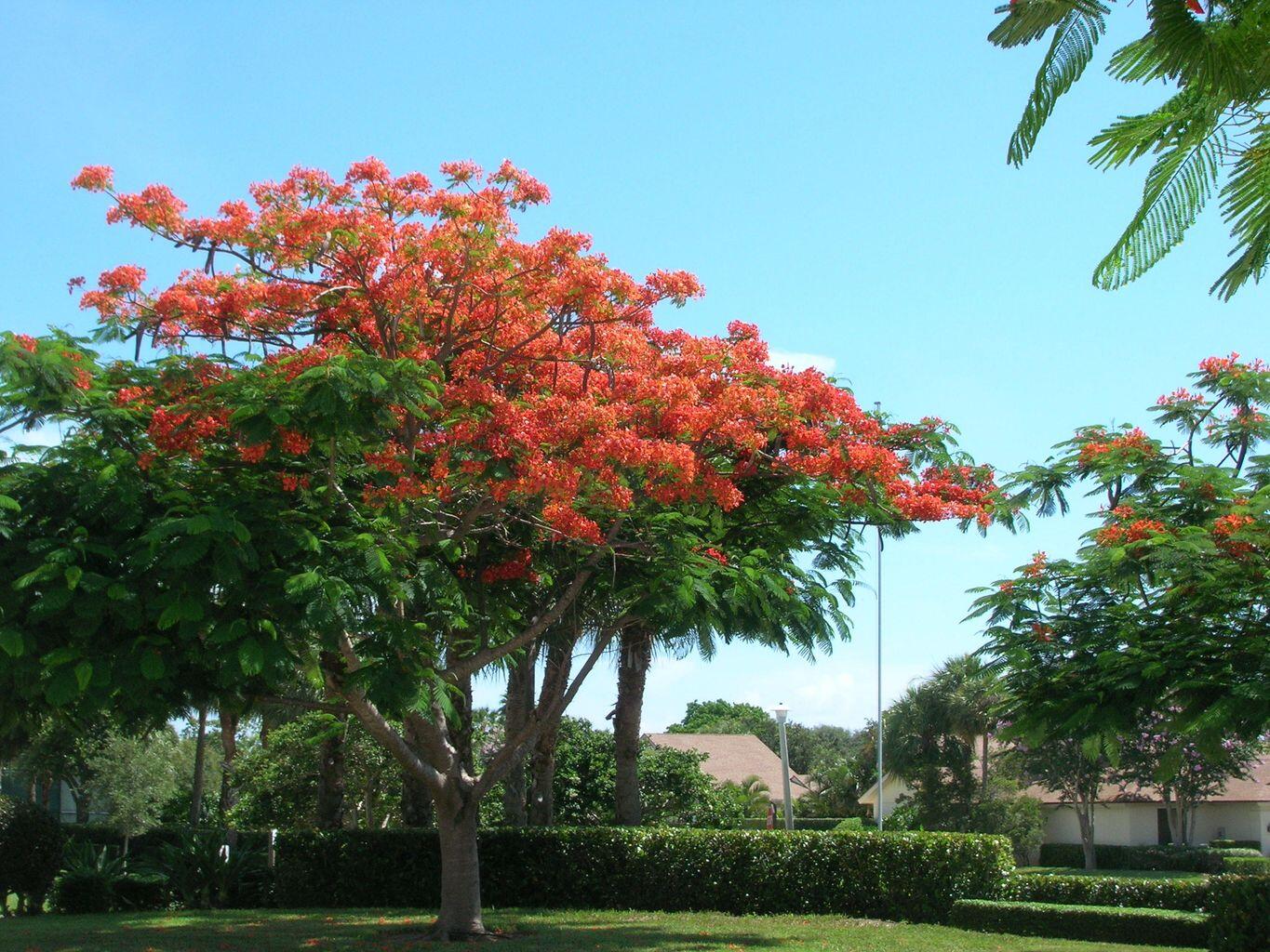 RIVER - Residential Lease