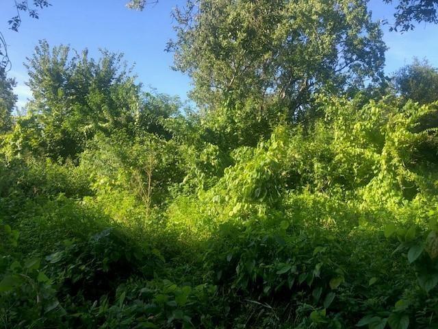 Buy this residential property in El Mira Soul community in Okeechobee with only $1,500 down. Adjacent lots also available for sale.
Owner Financing Available.