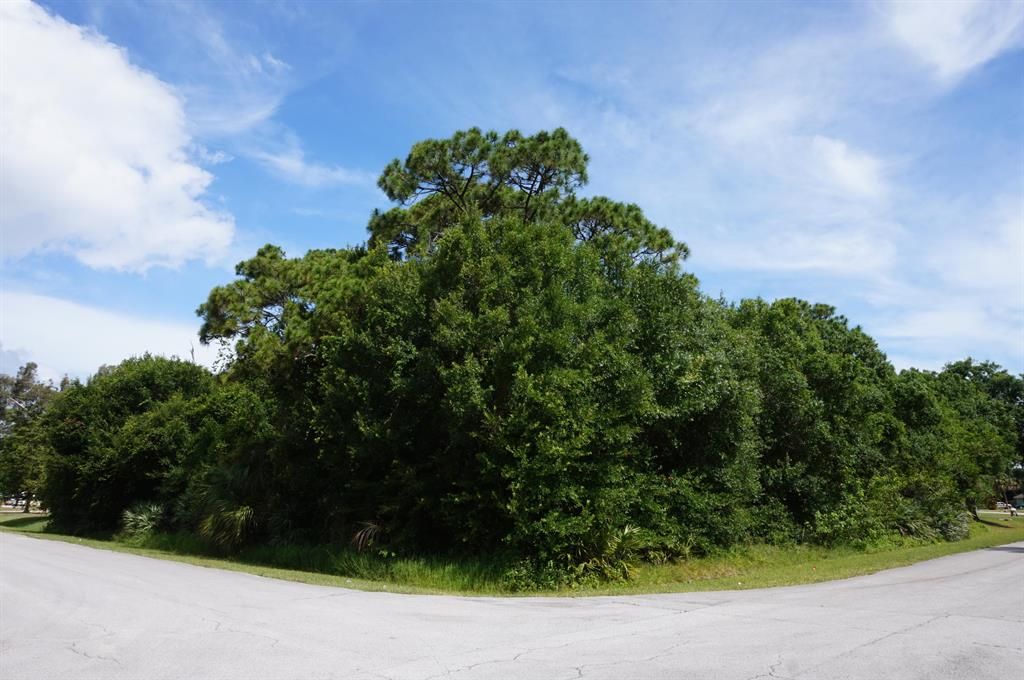 Photo of 5707 Shannon Drive, Fort Pierce, FL 34951 (MLS # R10721713)