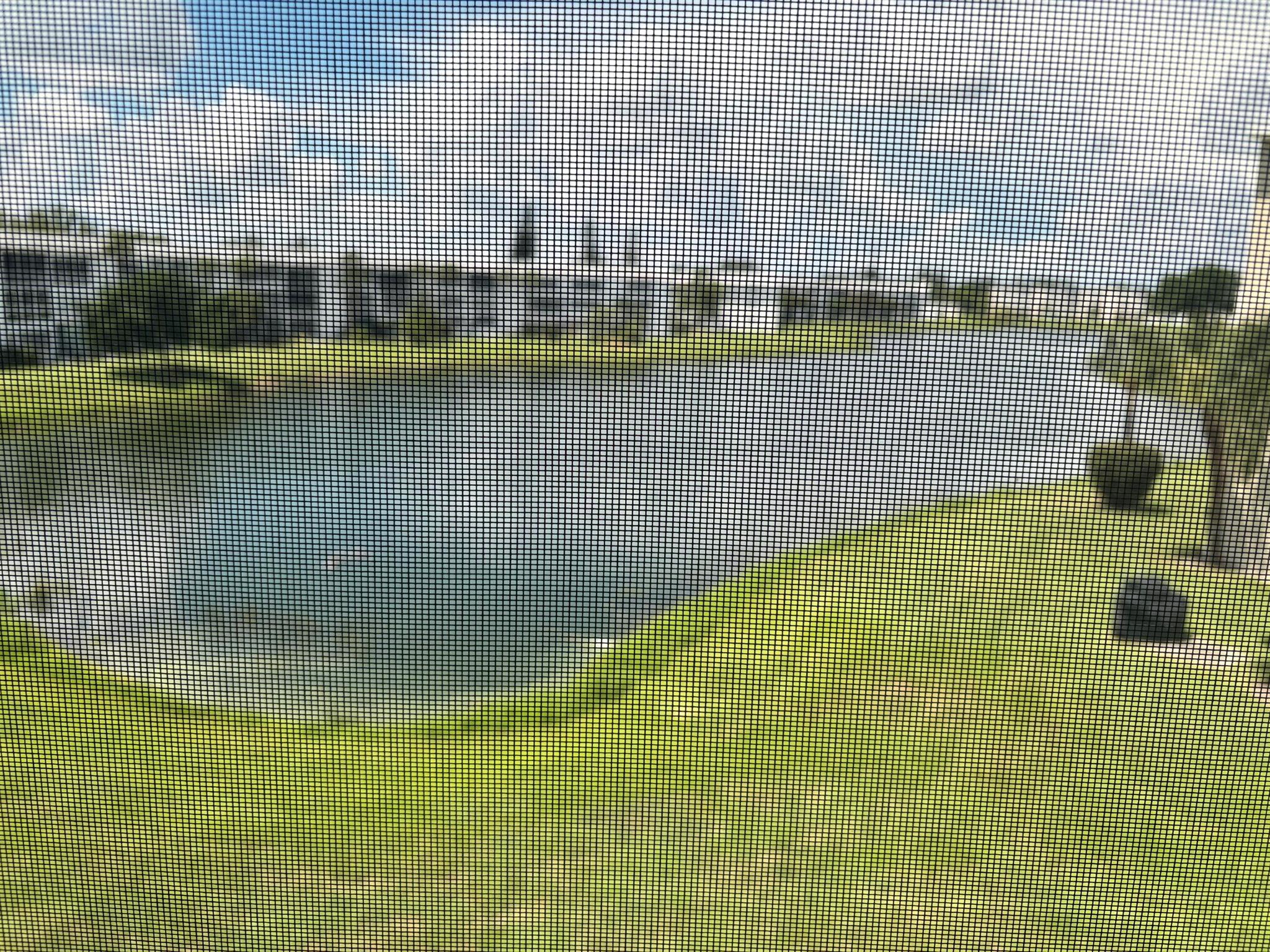 312 Wellington F