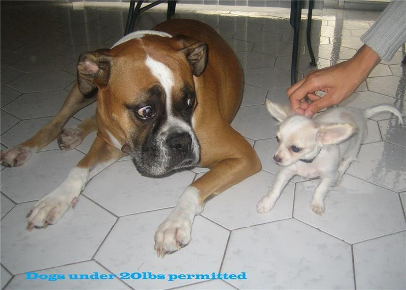 Voyager - Residential