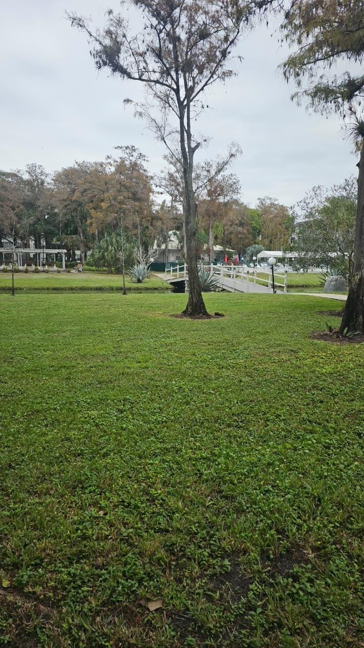 Cypress Chase Condo 4 - Residential