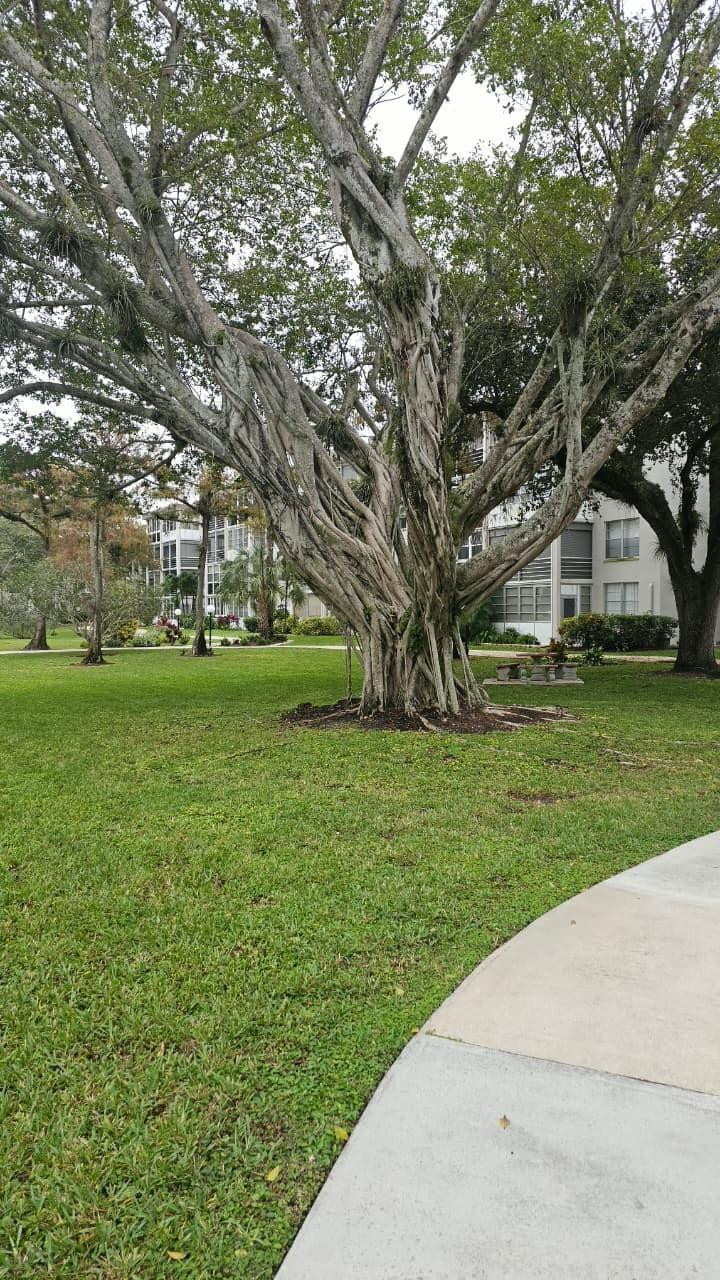 Cypress Chase Condo 4 - Residential