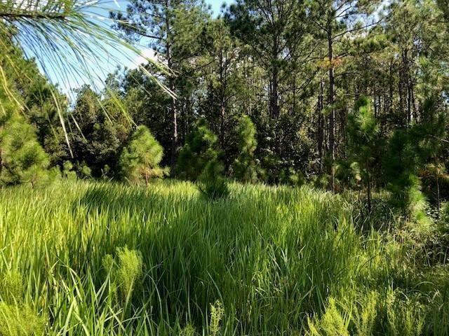 Opp172 Orlando Pines - Land