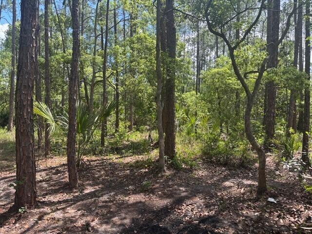 Daytona Park Estates - Land