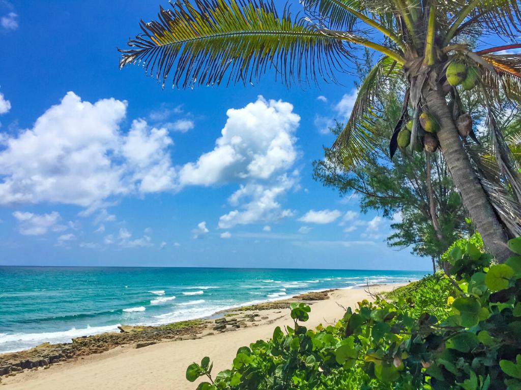 Seminole Landing - Residential