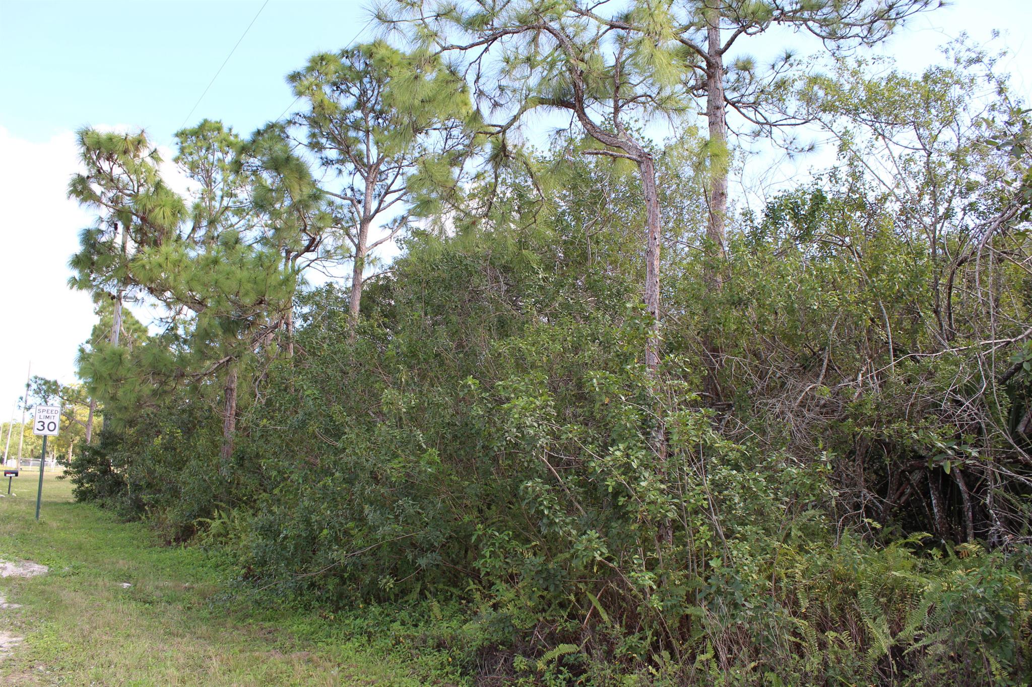 Loxahatchee - Land