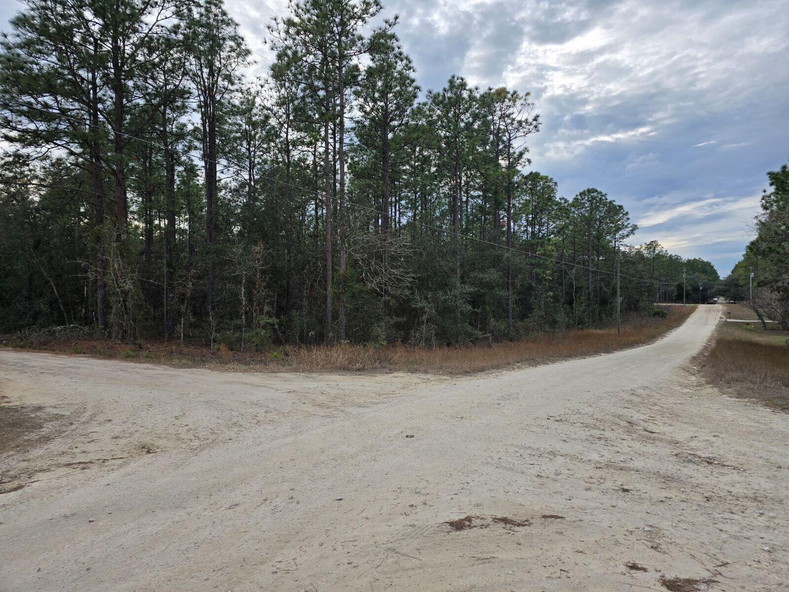 Discover a rare opportunity to own a 1.05-acre corner lot in the sought-after Rolling Hills community of Dunnellon, nestled in beautiful Marion County. Perfect for those dreaming of the agricultural-residential lifestyle, this spacious property offers endless possibilities. Build your dream home, start a farm, establish a plant nursery, or create your personalized haven--it's all up to you! Located in a serene, rural setting with deed-restricted privacy, Rolling Hills combines the tranquility of nature with convenient access to State Road 200 and the SW corridor's shopping, dining, and medical facilities. With room to grow and the freedom to design your future, this incredible parcel won't last long. Submit your best offer today and make your vision a reality!