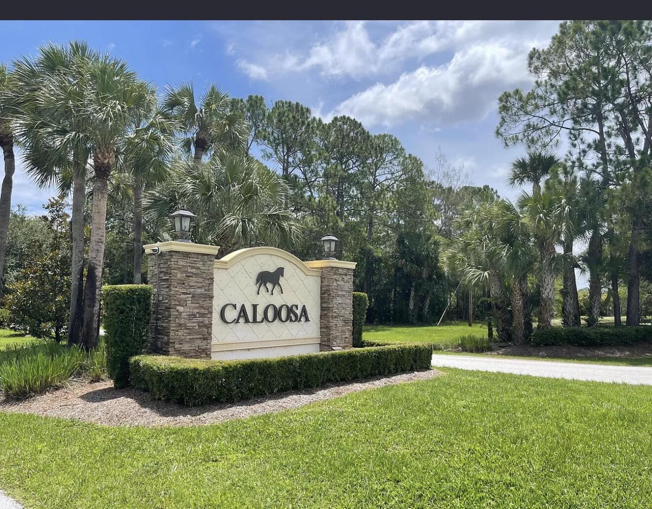 CALOOSA - Residential