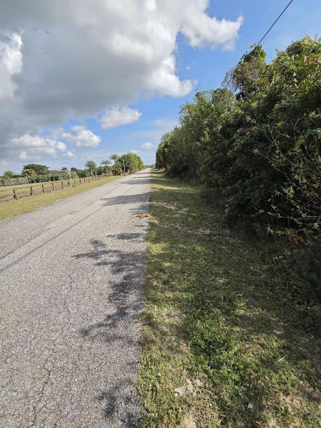 Photo of 19542 Green Grove Court, Loxahatchee, FL 33470 (MLS # R11147129)