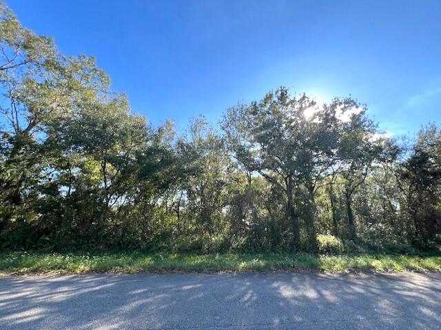 Rarely available Dixie Ranch Acres 1+- acre lot now available for your new Florida home. Homes only community, no HOA, located on paved road with electrical poles nearby. Dixie Ranch Acres is located off US Highway 98 north of downtown Okeechobee shopping and restaurants and Lake Okeechobee for all your boating and fishing enjoyment. Buy and build or hold for investment. Seller has a survey.