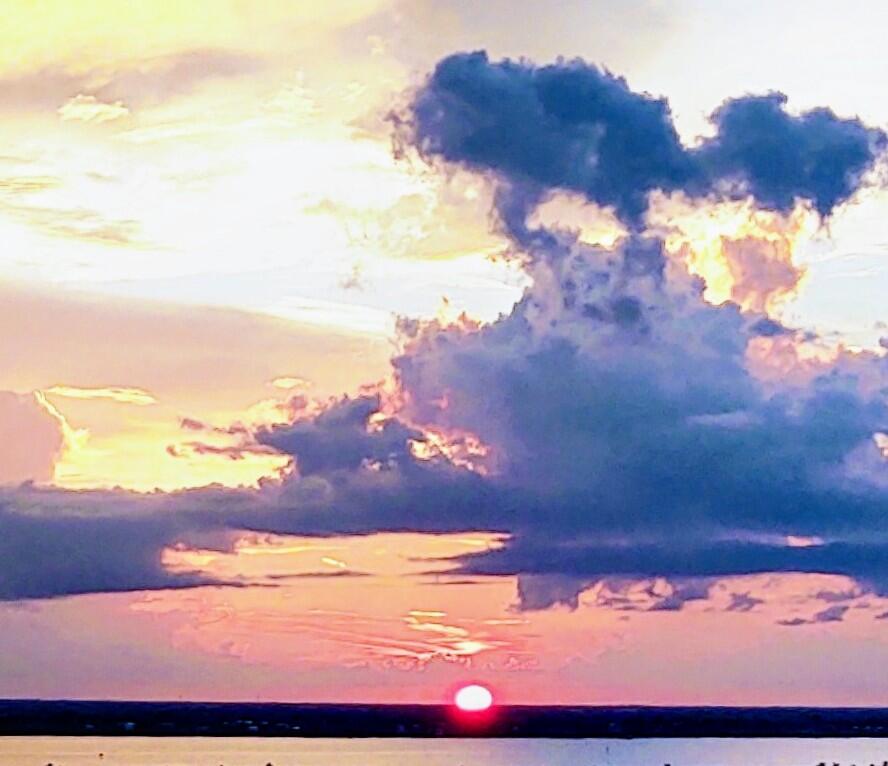 MIRAMAR II, THE - Residential