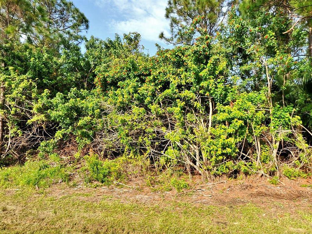 Building Lot in beautiful SW Port St Lucie. Build your dream home in this desirable community. Conveniently located to I-95, FL Turnpike, shopping and restaurants. Access to public water and sewer.